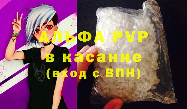 индика Зерноград