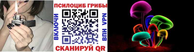Купить  Ершов  Галлюциногенные грибы прущие грибы 